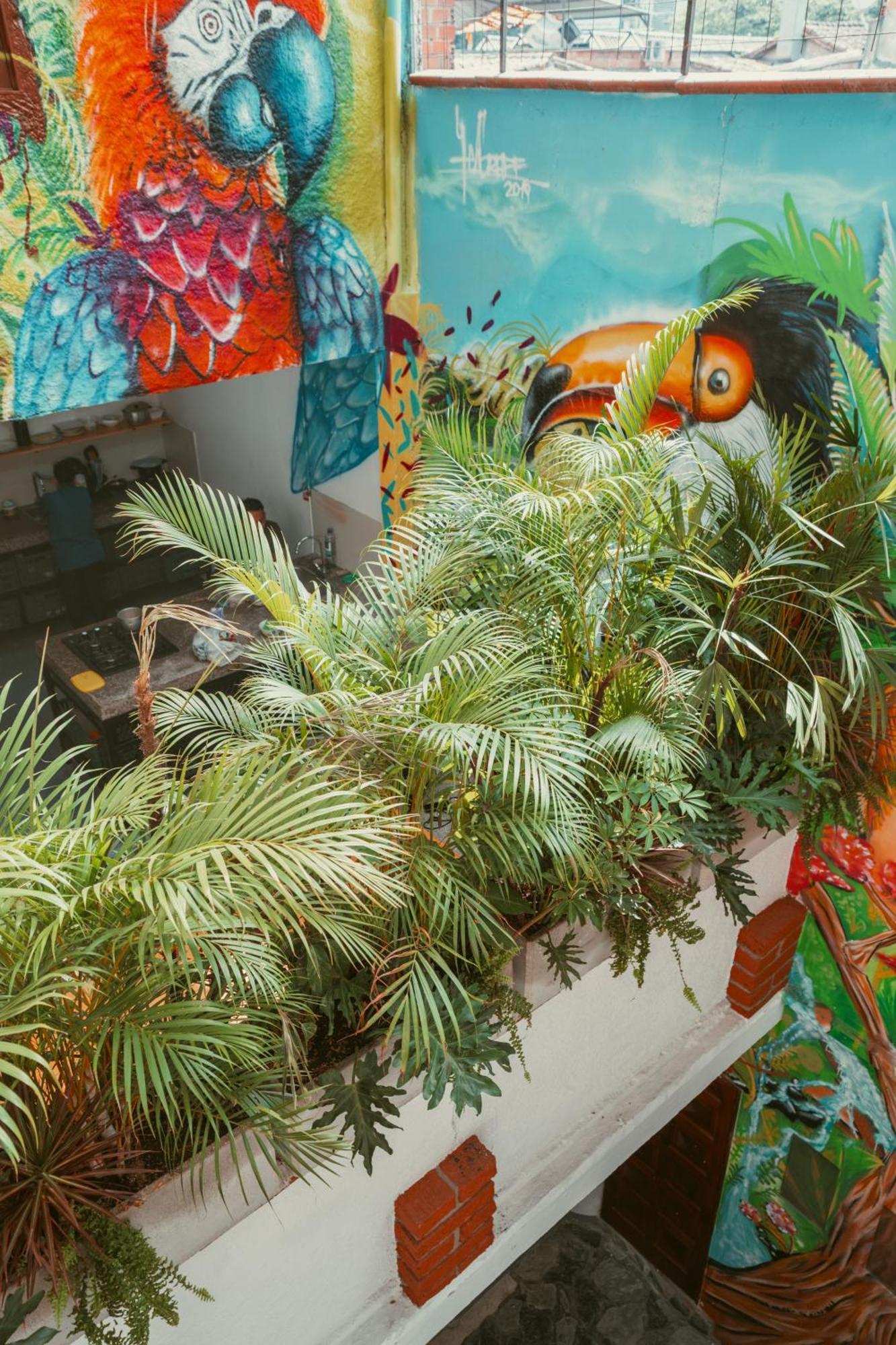 Hostal Pura Vida La 70 Medellín Esterno foto